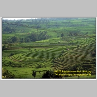 14575 Reisterrassen Bali 1986.jpg
